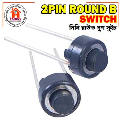 1PCS 2Pin Mini Push Button Switch_img_0